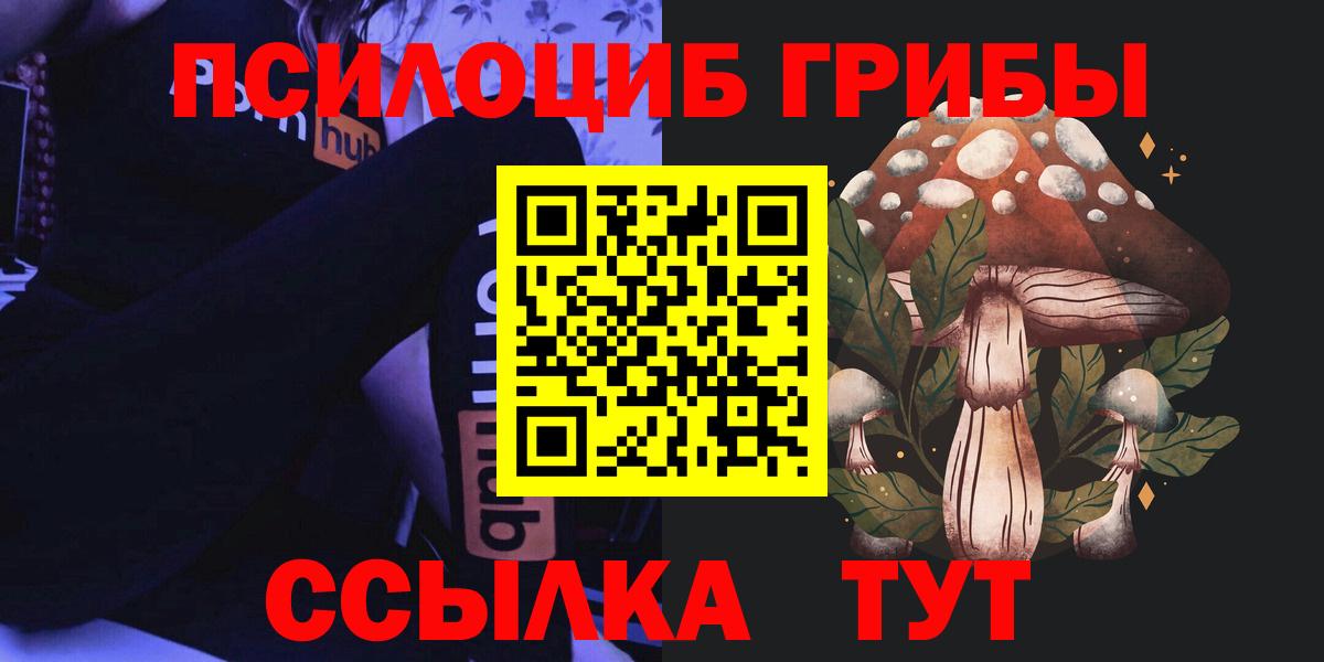 Галлюциногенные грибы ЛСД  Псилоцибиновые грибы Cubensis  Вход с VPN  Димитровград 